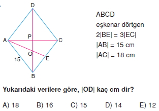 paralel_kenar_dortgen_test_10_013