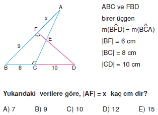 ucgende_benzerlık_test_5_004