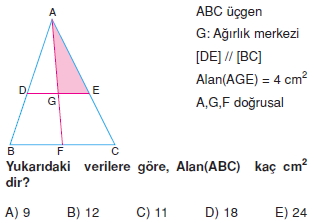 ucgende_benzerlık_test_8_005