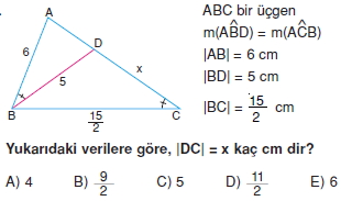 ucgende_benzerlık_test_8_014