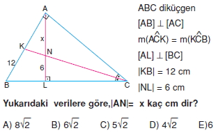 ucgende_benzerlık_test_9_001