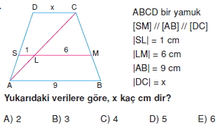 yamuk_cozumlu_test_2_012