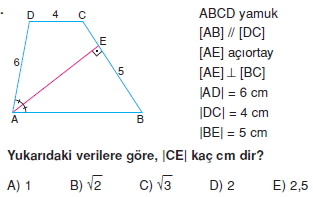 yamuk_cozumlu_test_2_016