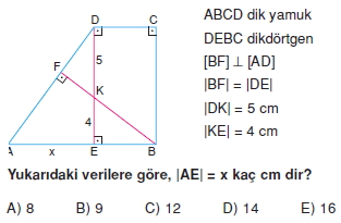 yamuk_test_1_009