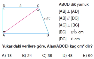 yamuk_test_2_008