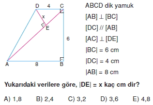 yamuk_test_2_009