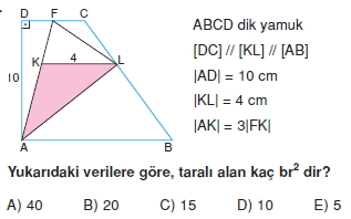 yamuk_test_2_011