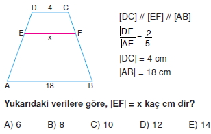 yamuk_test_3_002