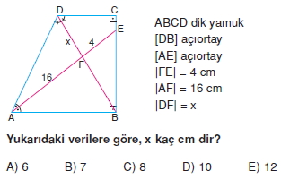 yamuk_test_3_003
