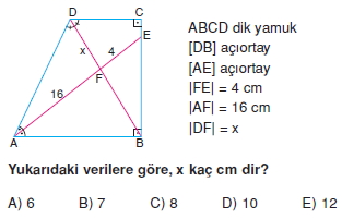 yamuk_test_3_003