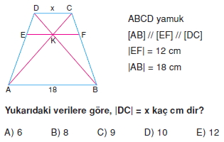 yamuk_test_3_009