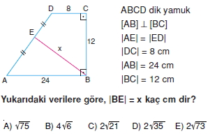 yamuk_test_3_015