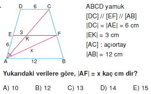 yamuk_test_4_015