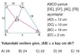 yamuk_test_5_002