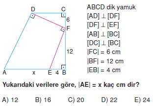 yamuk_test_5_008