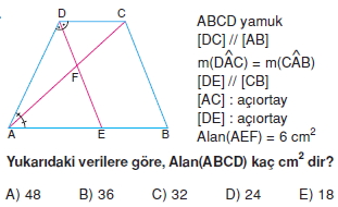 yamuk_test_5_011