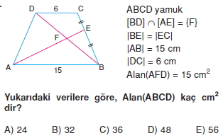 yamuk_test_6_013