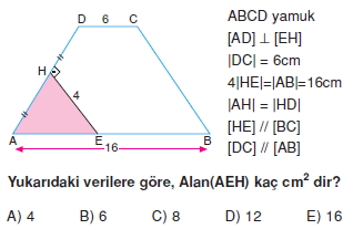yamuk_test_7_007