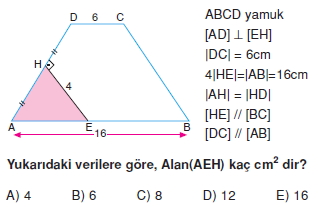 yamuk_test_7_007