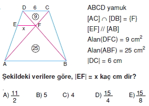 yamuk_test_7_012