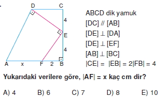 yamuk_test_7_013