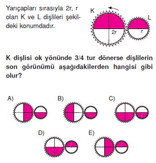 Basit Makinalar test 1007