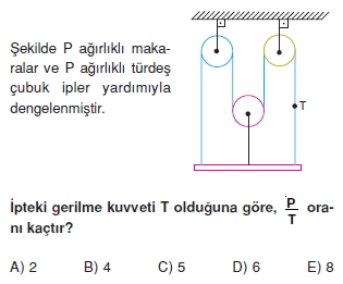 Basit Makinalar test 5002