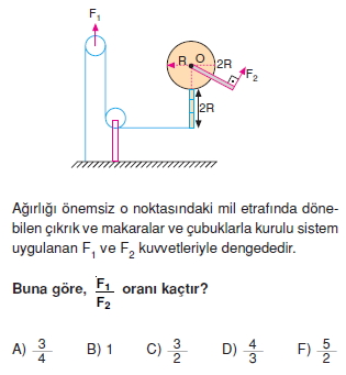 Basit Makinalar test 5007