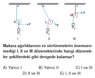 Basit Makinalar test 6006