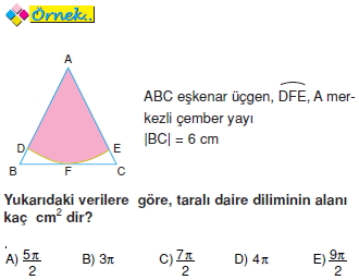 Daire Dilimi003