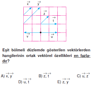 Vektör – Kuvvet – DengeTest – I004