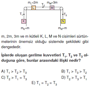 Vektör – Kuvvet – DengeTest – II010