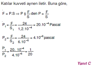 basinccozumler1002