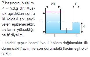 basinccozumler1003