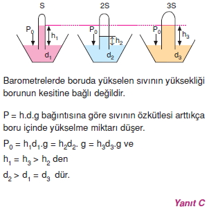 basinccozumler1008