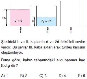 basinccozumlutest1004