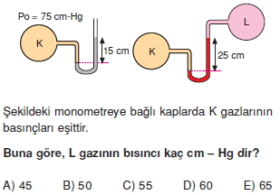 basinccozumlutest1008