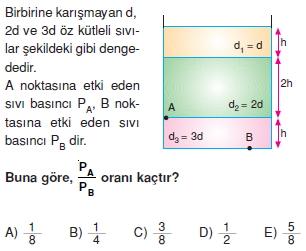 basinccozumlutest2007