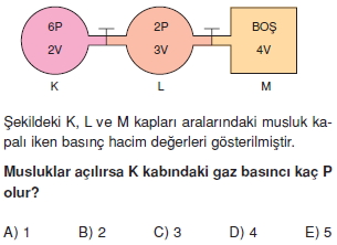 basinctest1003