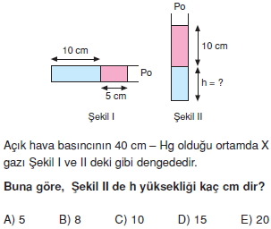 basinctest1007