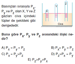 basinctest4009