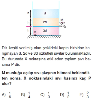 basinctest5005