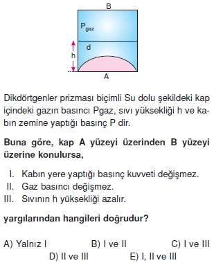 basinctest5008