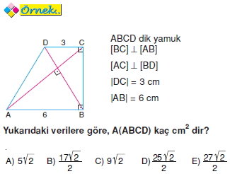 kosegenleri-dik-kesisen-dik-yamuk002