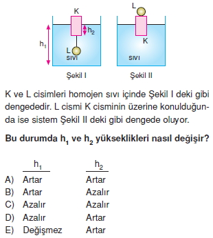 sivilarinkaldirmakuvvetitest2001