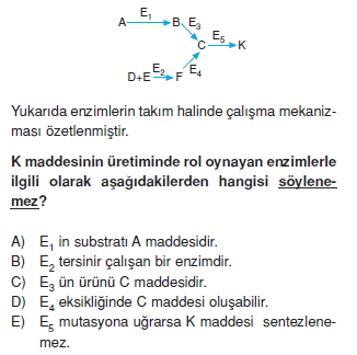 Canlilarintemelbilesimicozumlutest1 (11)