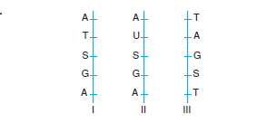 Canlilarintemelbilesimicozumlutest1 (15)