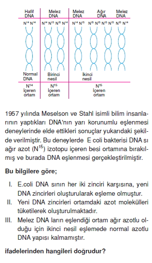 Canlilarintemelbilesimicozumlutest1 (16)