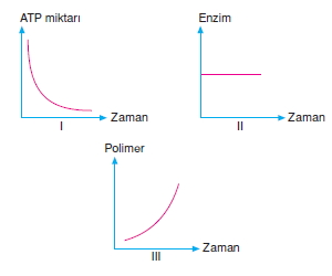 Canlilarintemelbilesimicozumlutest1 (17)