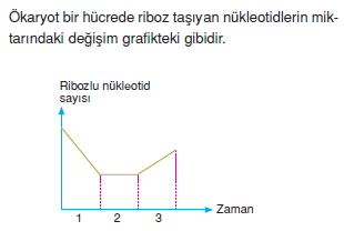 Canlilarintemelbilesimicozumlutest1 (20)